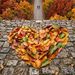 posti dove ammirare il foliage in Italia