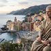 seneca camogli