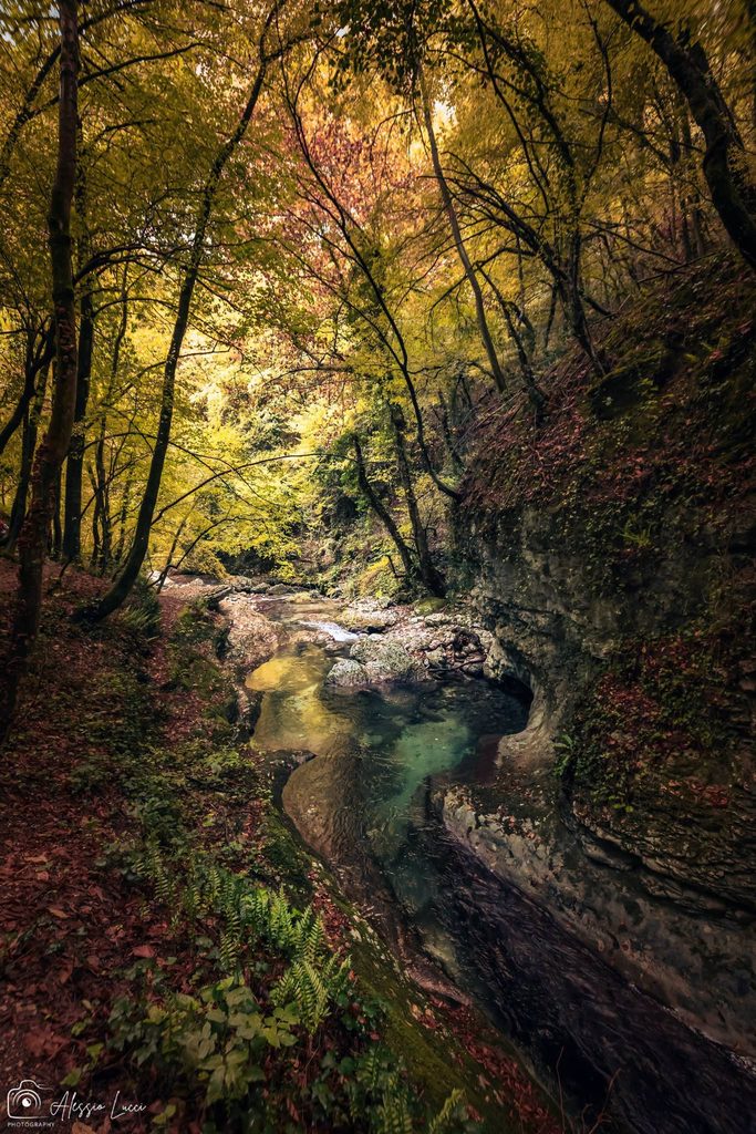 valle orfento